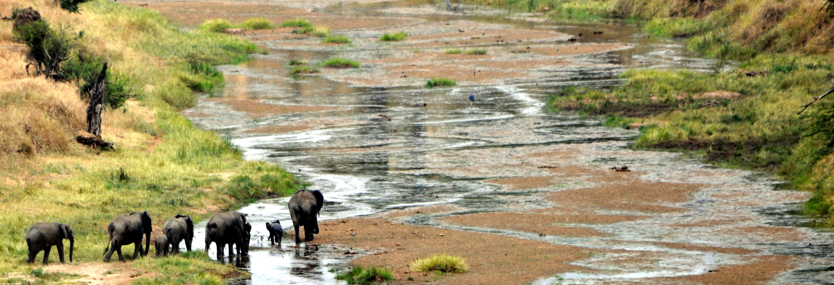 Biology Trip to Tanzania - July 2015